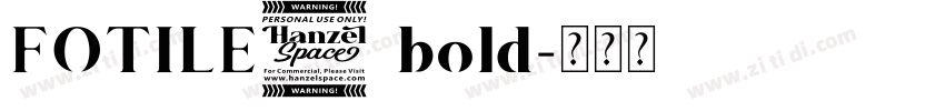 FOTILE3 bold字体转换